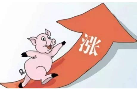 任泽平：当前或已进入新一轮猪周期的筑底上行期，预计未来价格温和上涨 2021年11月至今，猪价进入“W”筑底阶段，边际企稳。2022年4月为第 ...