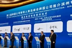 2021中国100大跨国公司发布_手机新浪网