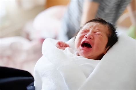 婴儿喊叫是什么原因（还在为宝宝的尖叫声苦恼）-幼儿百科-魔术铺