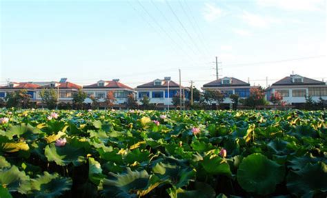 【中国最有钱的村庄，家家有别墅，被誉长江港口第一村，不是华西村| 每当提起天下第一的村的时候】_傻大方