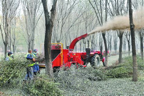 北京城市副中心试点建设集体林场，蹚出生态林管护新路 | 北晚新视觉