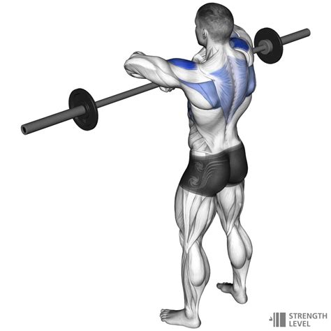 One-Arm Dumbbell Row • Bodybuilding Wizard