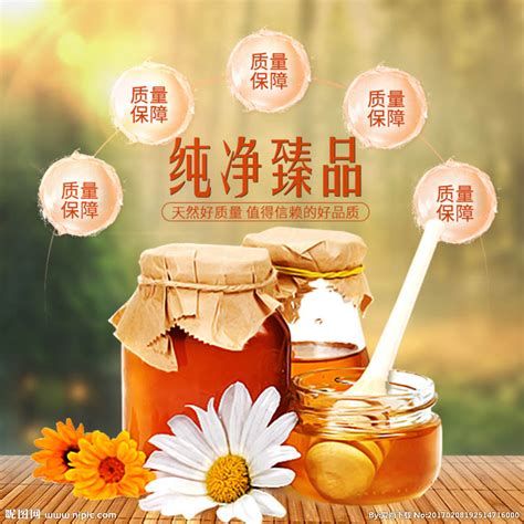 蜂蜜设计图__淘宝广告banner_淘宝界面设计_设计图库_昵图网nipic.com