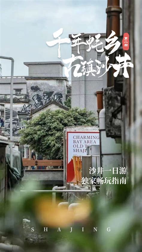 沙井蚝生产习俗和螳螂拳入选广东省级第八批非物质文化遗产