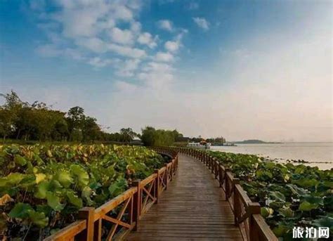 武汉有哪些风景好的湖 武汉美燃爆的湖推荐_旅泊网
