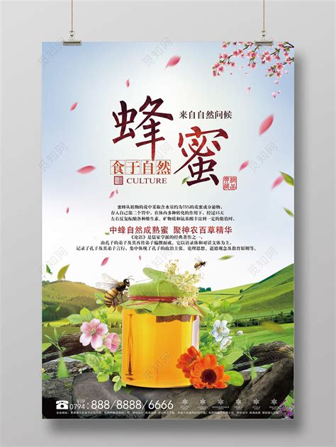 小清新纯天然蜂蜜海报设计图片下载_psd格式素材_熊猫办公