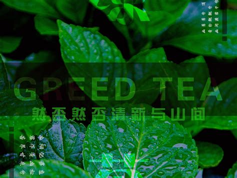 中国风茶文化宣传海报模板psd源文件素材免费下载_红动中国