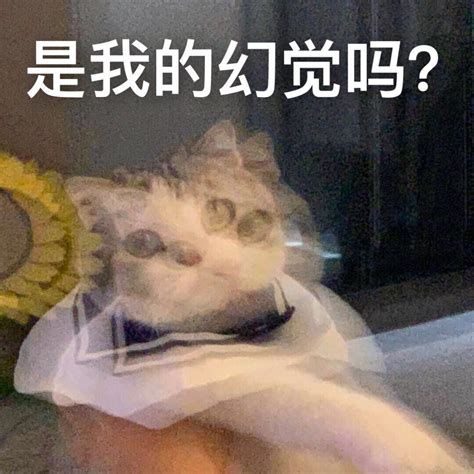 沙雕p图表情包图片