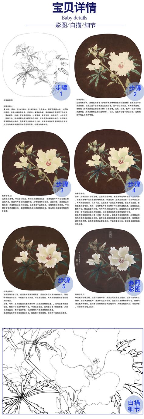 背景宋葵图片