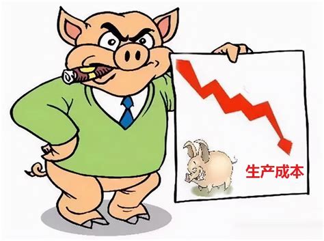 猪价涨跌调整，猪肉价格涨速放缓，养殖户警惕猪价上涨带来的风险 - 知乎