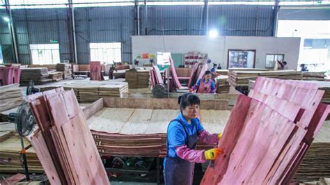 绿色崛起！广西来宾做大百亿级木材高端加工产业！-木业网