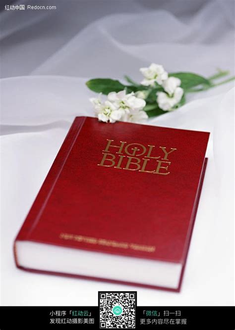 书、圣经、圣经学习、打开圣经 - 免费可商用图片 - CC0素材网