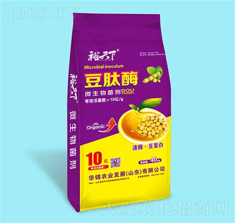 paap-ni-bhoomi 的图像结果