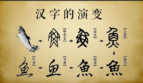100个汉字的演变过程