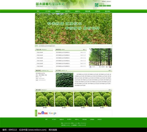 绿色苗木种植企业网站_红动网