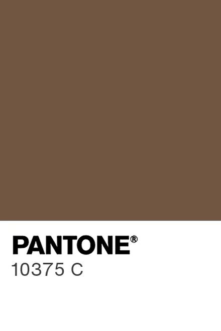 PANTONE® USA | PANTONE® 10375 C - Find a Pantone Color | Quick Online ...