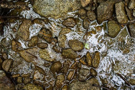 溪水和石头,水草,水花,溪流河流,自然风景,摄影素材,汇图网www.huitu.com