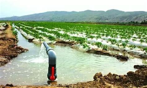 新型智能灌溉系统，比“以色列”滴灌更节水！ - 知乎