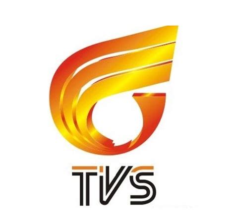 TVS4南方综艺频道热点栏目《娱人码头》-南方电视台热点栏目-南方电视台广告网