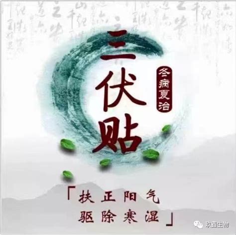 湖北玖鑫生物科技有限公司企业网站