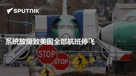 同一天同一机场，俄航飞上海航班出故障临时换机_大武汉