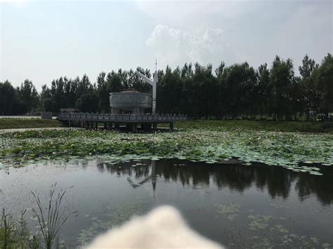 2023兴凯湖湿地公园游玩攻略,兴凯湖真的不错，新断流景区... 【去哪儿攻略】