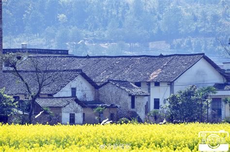 故乡的原风景（五十七）——于都县•杜田村|故乡|赣州|镜头_新浪新闻