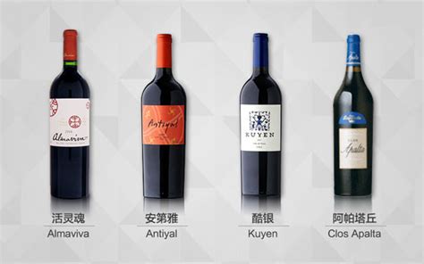 2021红酒十大品牌排行榜：桃乐丝上榜 第十智利葡萄酒代表 - 手工客