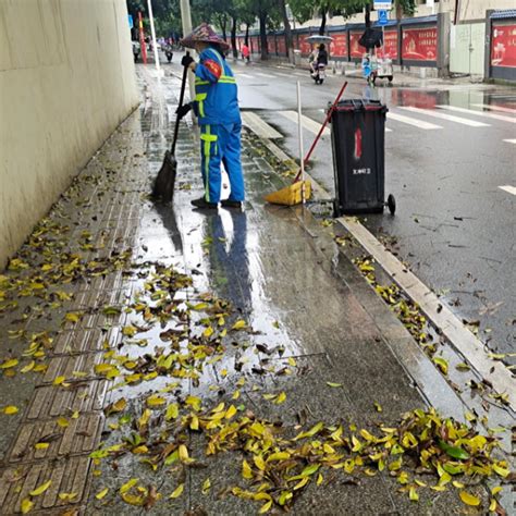 绿化带落叶难清理 清扫“神器”来助力 - 潍坊新闻 - 潍坊新闻网