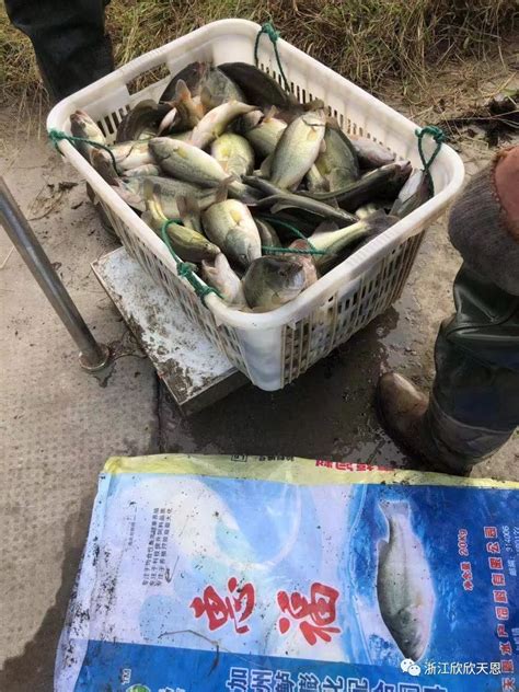 独家：北京所有超市活鱼恢复销售_联商网