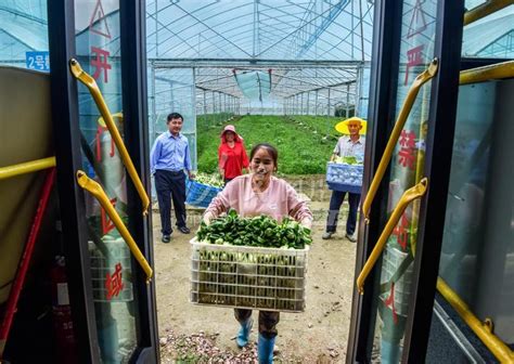 开屏新闻-玉溪通海：云南最大的露地蔬菜生产基地春种春收两不误