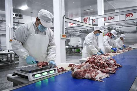 “链”式发展“羊经济” 荒滩上崛起盐池滩羊产业-宁夏新闻网