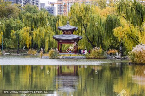 2019紫竹院公园-旅游攻略-门票-地址-问答-游记点评，北京旅游旅游景点推荐-去哪儿攻略