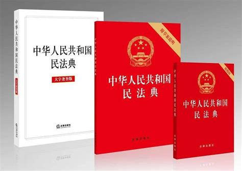中华人民共和国民法典总则编理解与适用》（上下）