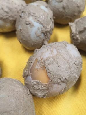 皮蛋粉原料自制无铅松花变蛋粉配方可做鹌鹑蛋鸡鸭变蛋1件5包包邮-阿里巴巴