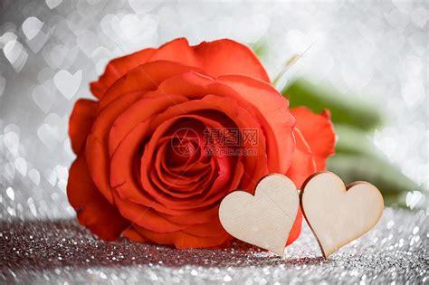 三朵玫瑰花素材图片免费下载-千库网