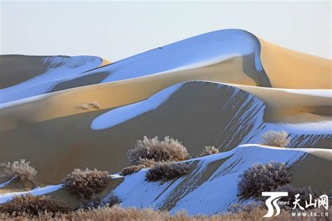 塔克拉玛干沙漠迎罕见降雪 沙漠披银装宛若童话世界-中国侨网