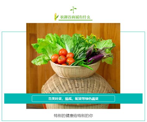 四季豆蔬菜高清图片下载-正版图片600633678-摄图网