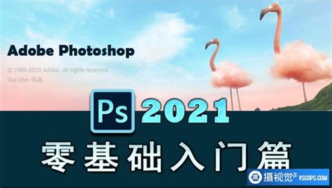 Photoshop基础教程：如何快速的学会PS(2) - 新手教程 - PS教程自学网