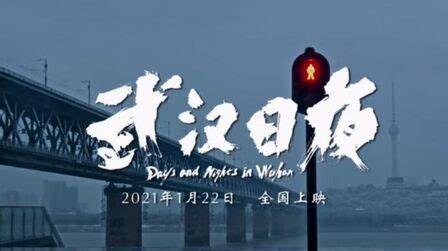 《武汉日夜》-高清电影-完整版在线观看