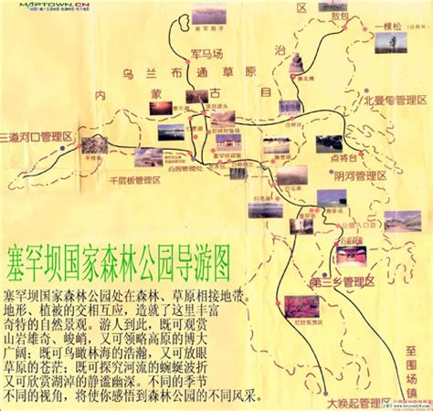 2024上海共青国家森林公园旅游攻略-门票价格-景点信息_旅泊网