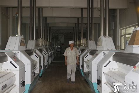 天山面粉：乘着改革东风 书写一座小面粉厂的发展之路 -天山网 - 新疆新闻门户