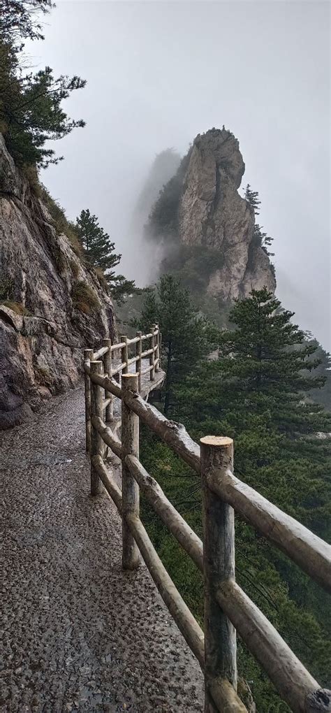 老君山自驾游攻略_老君山门票价格多少钱_老君山地址在哪里/图片-大司部落