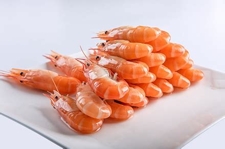 经常吃虾有那些好处-吃虾的好处和功效详细介绍-六六健康网