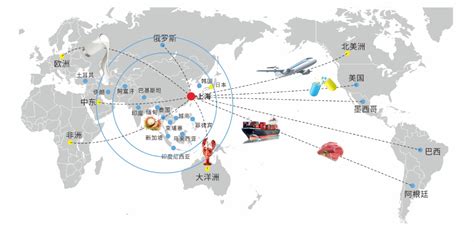 上海+郑州双布局运作，2020市场开拓不可错过的物流展会平台_展会动态_资讯_中国AGV网_专业性的AGV行业门户网站