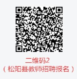 2023年松阳县教育系统公开招聘幼儿园教师公告