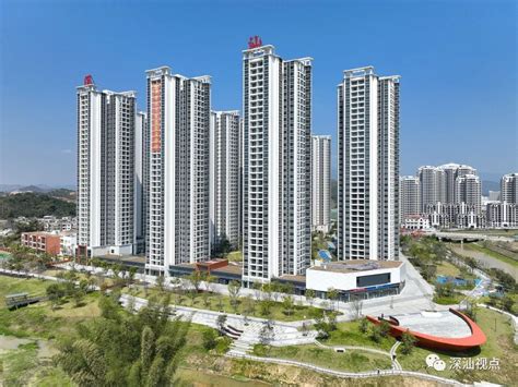 转角遇见美！“深圳市2020年度十佳社区共建花园”公布