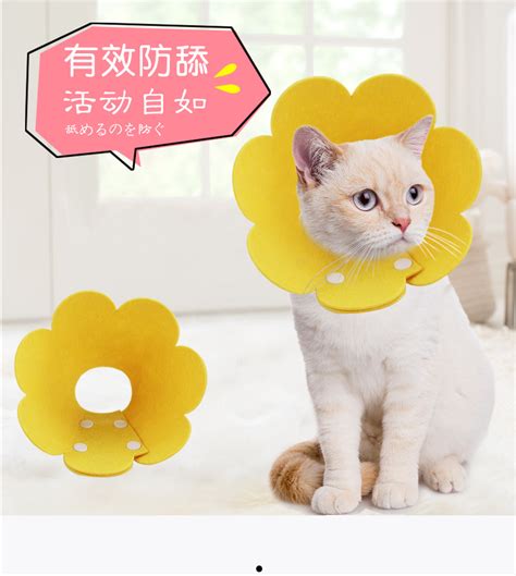 猫头套非主流头像