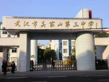 吴家山第三中学-武汉一网万联科技有限公司