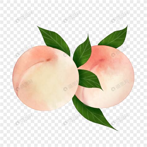 美味水果水蜜桃插画素材图片免费下载-千库网